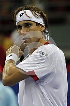 David Ferrer