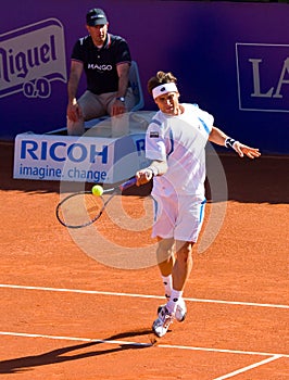 David Ferrer