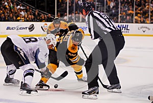 David Krejci, Boston Bruins