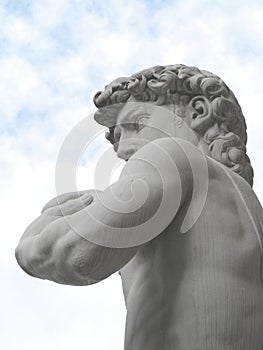 David by Michelangelo (Detail)