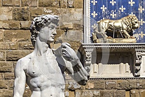 David`s Statue by Michelangelo,Florence, Italy