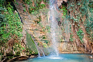 David's waterfall at Ein Gedi Nature Reserve