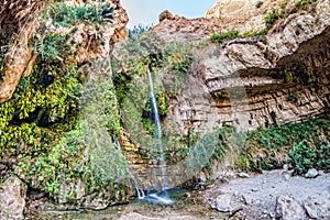 David`s waterfall at Ein Gedi Nature Reserve. photo