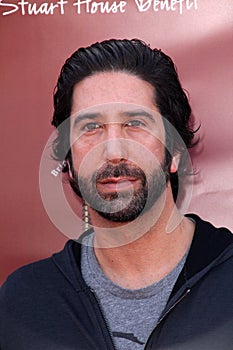 David Schwimmer