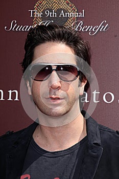 David Schwimmer