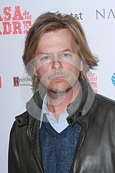 David Spade