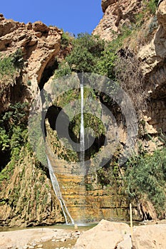 David Waterfall in Ein Gedi Nature Reserve photo