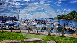 Davidson Marina on Lake Norman in Davidson, NC on a Beautiful Summer Day