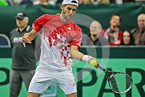 Davis Cup Austria vs. Russia