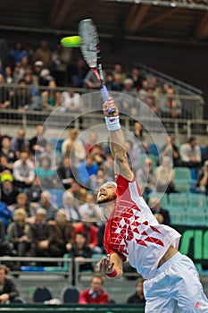 Davis Cup Austria vs. Russia