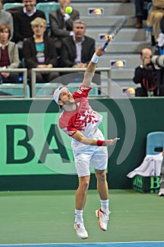Davis Cup Austria vs. Russia