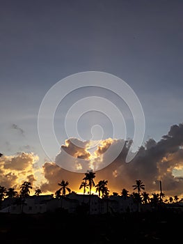 the dawn   the cloud   palma   the sun   the sky   gold