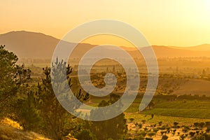 Dawn in the crop fields and farms at Region del Maule