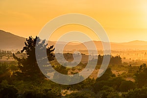 Dawn in the crop fields and farms at Region del Maule, Chile photo