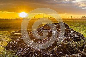 Dawn on cultivated fields