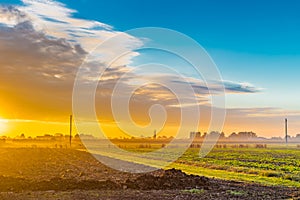 Dawn on cultivated fields