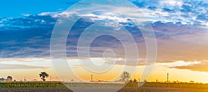 Dawn on cultivated fields