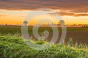 Dawn on cultivated fields