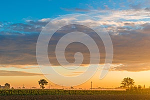 Dawn on cultivated fields