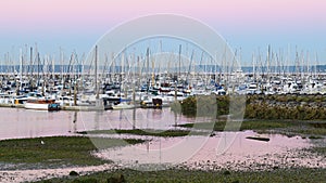 Dawn at Elliott Bay Marina at low tide with breakwater in Seattle