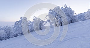 Dawn on an empty ski slope. Panorama.
