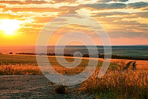 Dawn in a field over the horizon in summer. Sun in autumn dramatic sky with clouds. Landscape with golden yellow orange sunset at