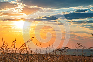 Dawn in a field over the horizon in summer. The sun in the blue autumn sky with clouds. Landscape with golden yellow orange sunset