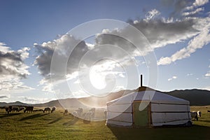Dawn in a Ger. Mongolia