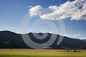 Dawn in a Ger. Mongolia