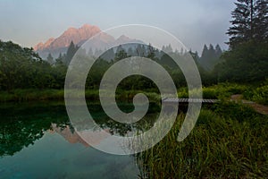 Dawn illuminated mountains reflecting in forest lake.