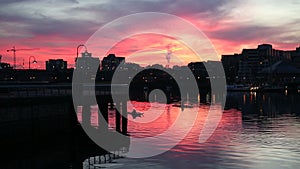 Dawn Kayaks, False Creek, Vancouver