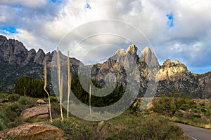 Dawn light at Organ Mountains-Desert Peaks National Monument in New Mexico
