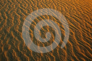 Dawn light on the sand ripples