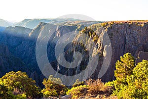 Dawn light on the steep cliffs and native foliage of Black Canyon of the Gunnison National Park in Colorado