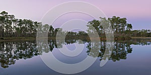 Dawn at Long Pine Key Lake reflections