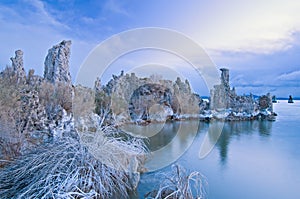 Dawn, Mono Lake