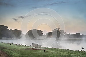 Dawn over Bushy Park in Surrey England