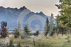 Dawn over the Grand Tetons from Spring Creek Ranch Jackson