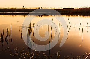 Dawn over lake shore