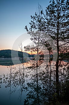 Dawn over lake with silhouette reflection tree