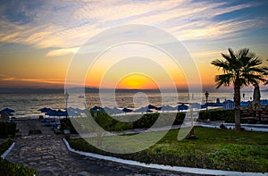 Dawn over the sea. Silhouette of palm trees