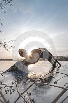 Dawn over the surface of a lake in Belgium during autumn weather. Long exposure of water with a dead tree