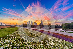 Dawn over Victory Park on Poklonnaya Hill in Moscow in the summer.