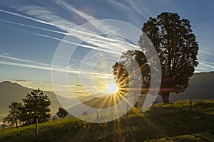 Dawn in the pasture photo