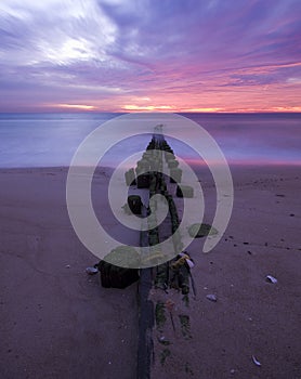 Dawn pilings photo