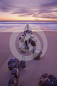 Dawn pilings photo