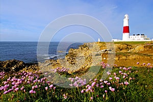 Dawn at Portland Bill