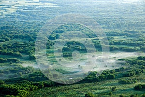 Dawn of the Root River Wetlands