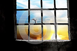 Dawn seen through prison window