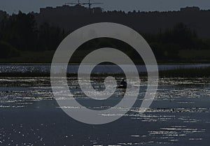 at dawn and the silhouette of a fisherman in a boat in the distance. The reflection of the sky in the water. Background, ple